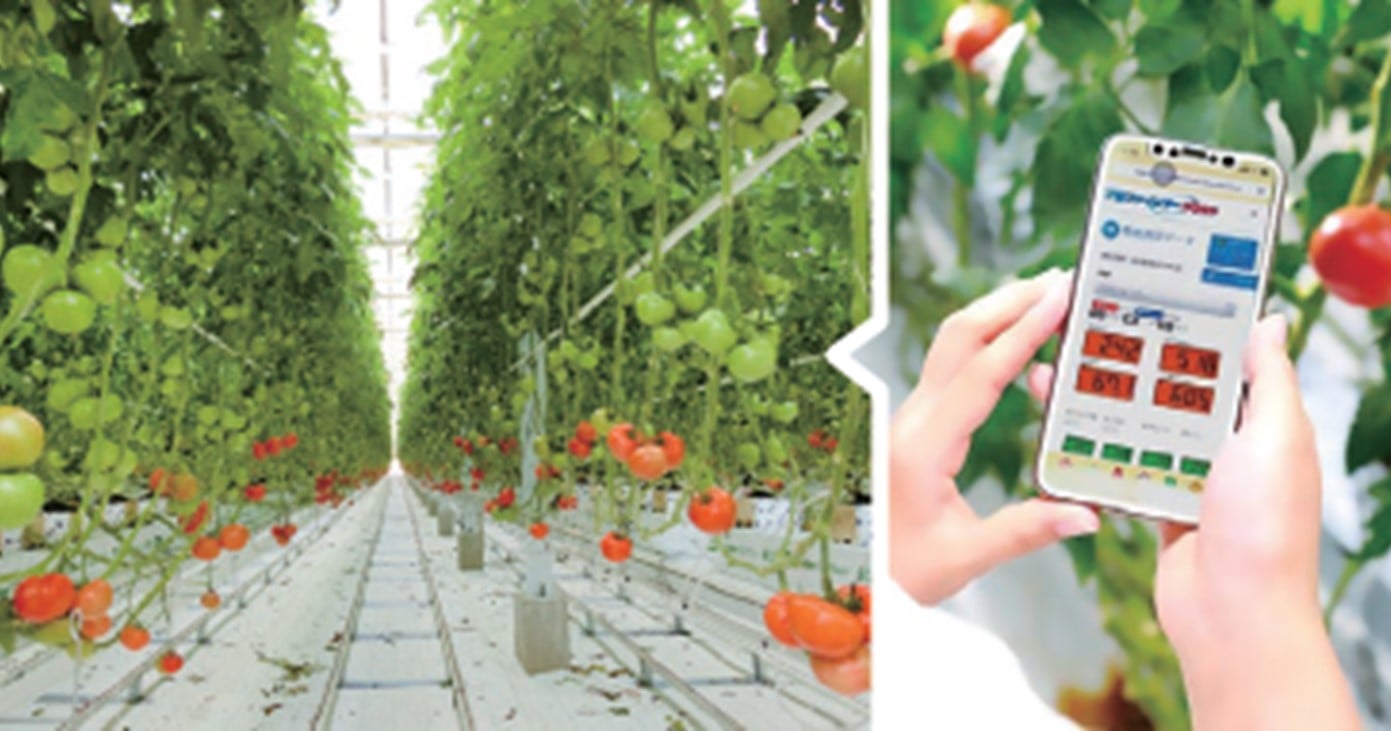 スマート農業の指導力を伸ばし、日本の農業の発展を支える。