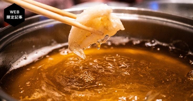 SAF（サフ）とは？使用済み食用油が航空燃料のカーボンニュートラルの切り札となるか
