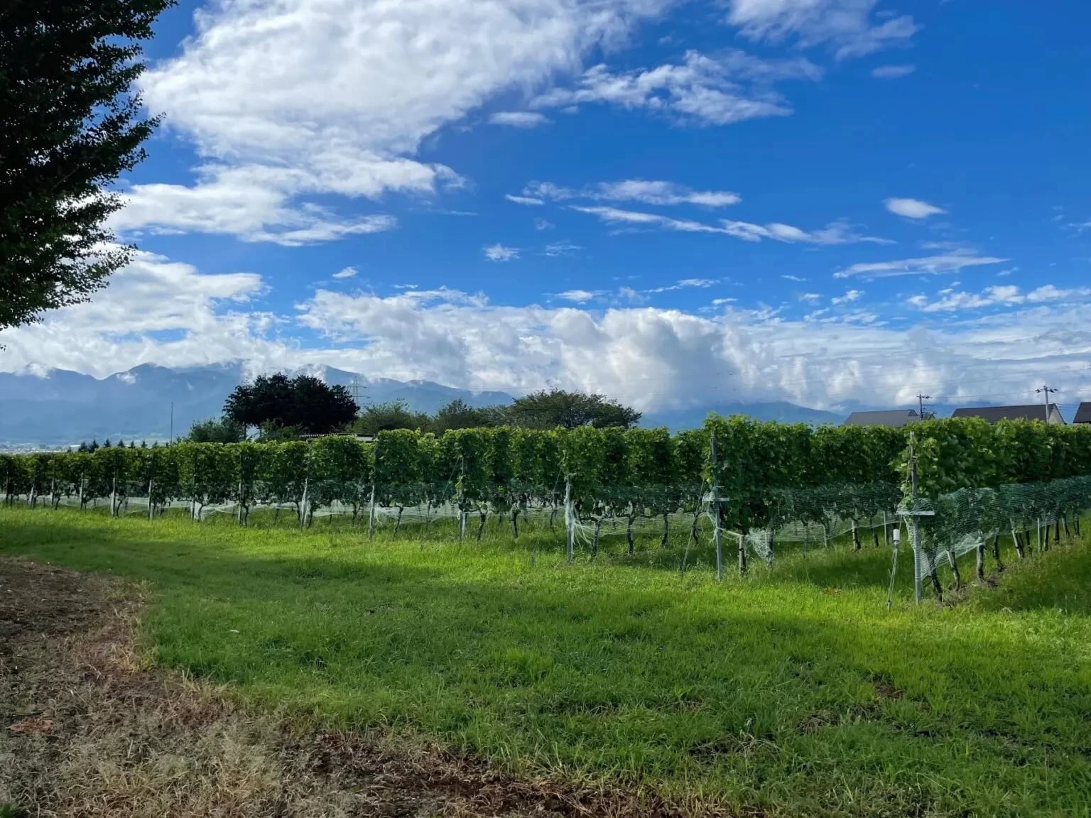 写真提供：Far Yeast Brewing