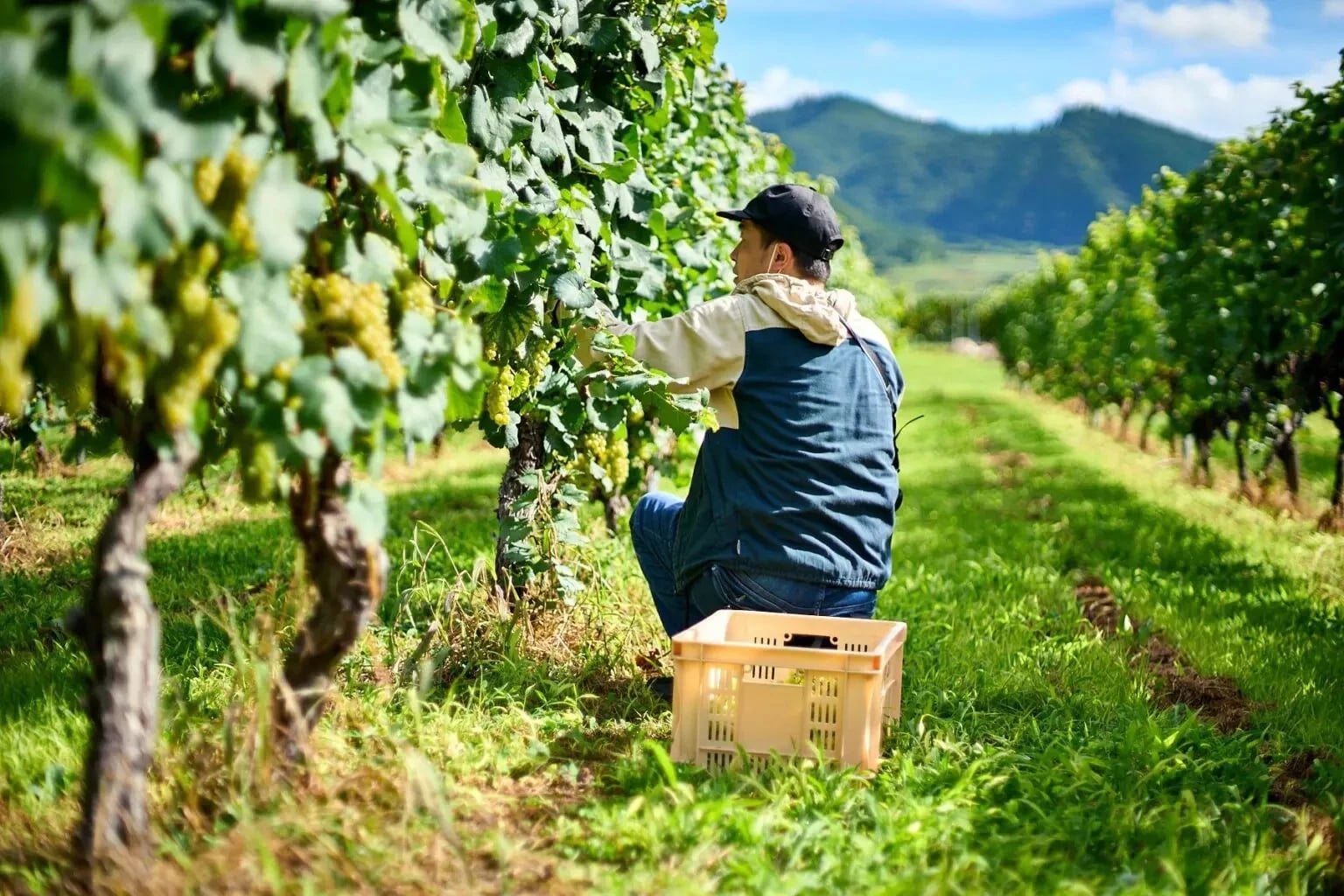 写真提供：Far Yeast Brewing