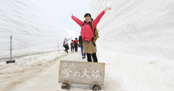 全国初!ポストカード送付サービスで 観光客の興味・満足度を調べる