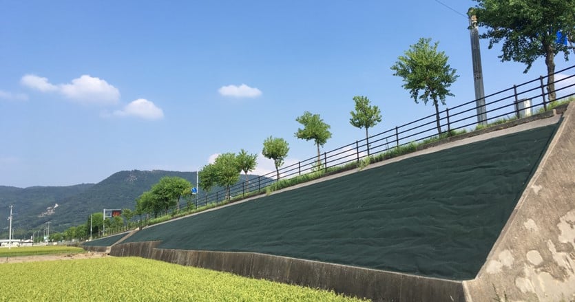 雑草を抑えながら緑化も進め、まちの美しい景観を守る。