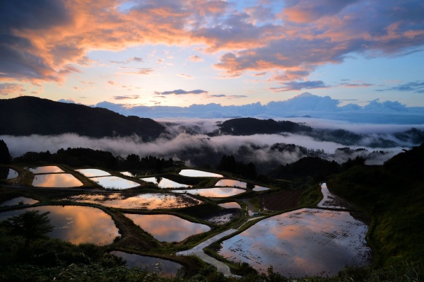 山古志村の棚田