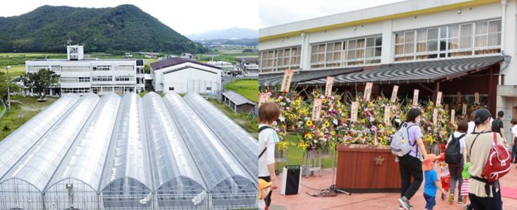 いちご農園となった旧中六人部小学校（左）と旧佐賀小学校に開設された和洋菓子の店舗兼工場